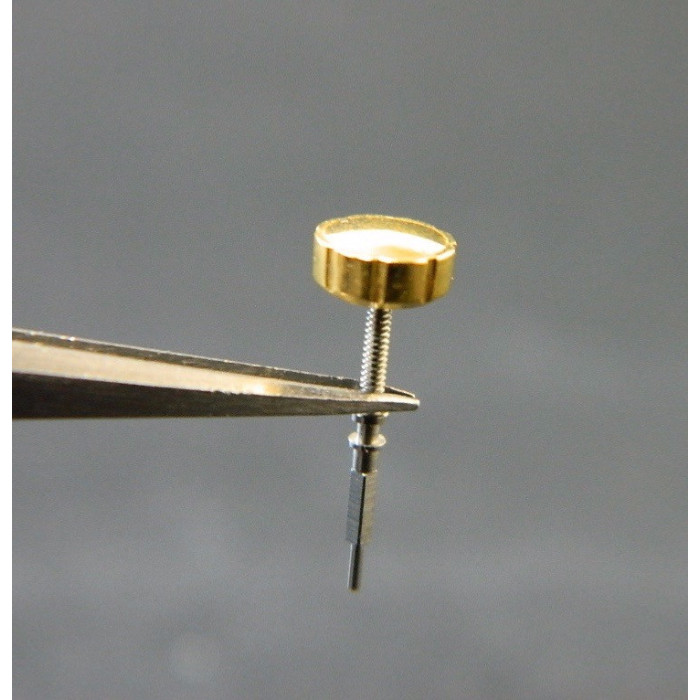 Lip R184 couronne dorée