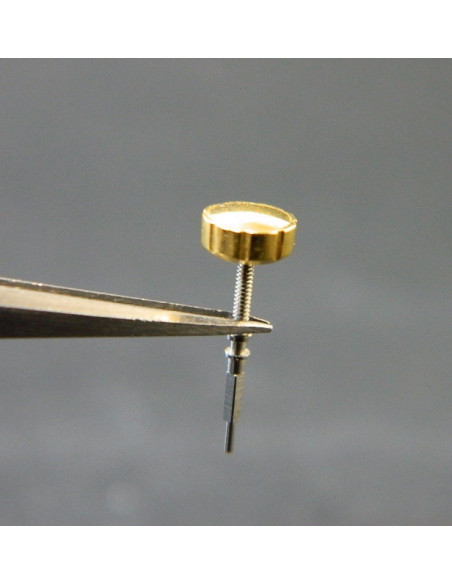 Lip R184 couronne dorée