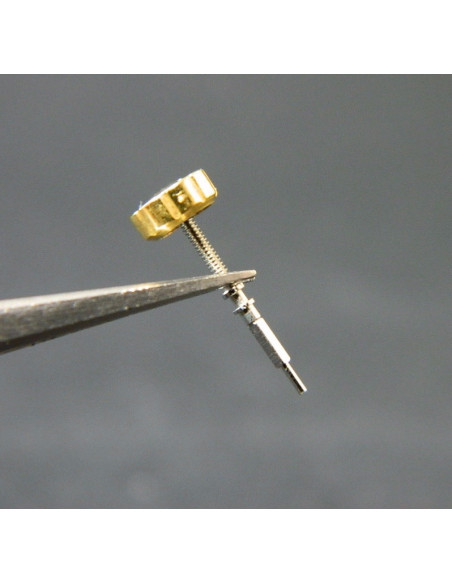 Lip R184 couronne dorée