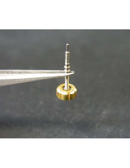 Lip R184 couronne dorée