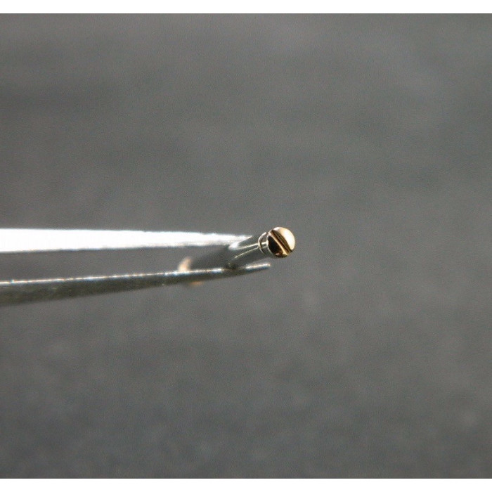 Zenith De Luca vis de fermoir