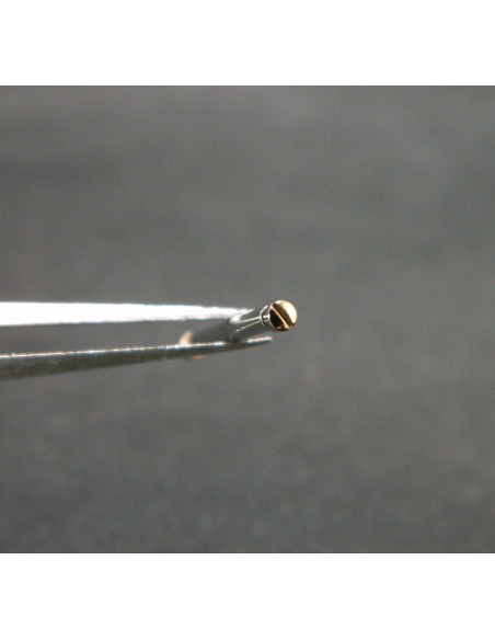 Zenith De Luca vis de fermoir