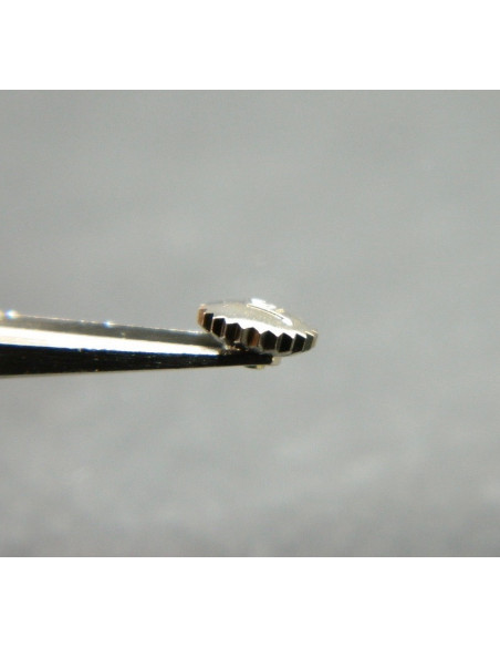 Movado Couronne anti-poussière