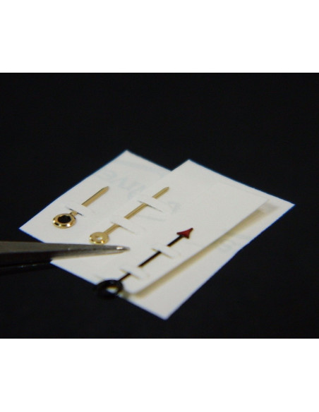 Zenith Pacific 27.2010.393 aiguilles