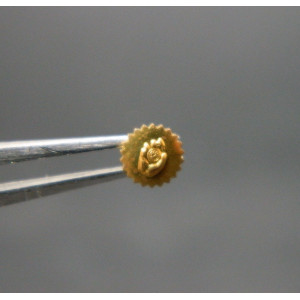 Movado President Couronne dorée