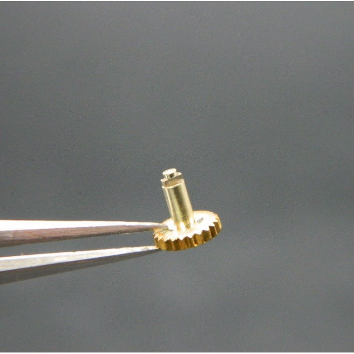 Movado President Couronne dorée