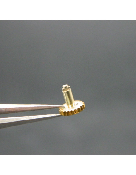 Movado President Couronne dorée