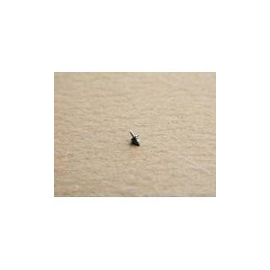 ETA Axe de balancier - Calibre 2480