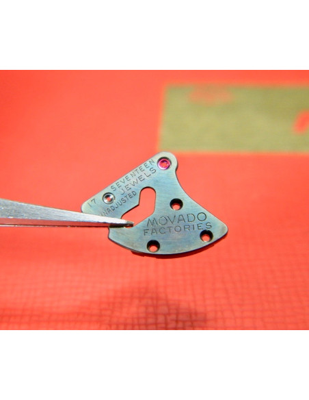 Movado 115-1142 Pont pour automatique