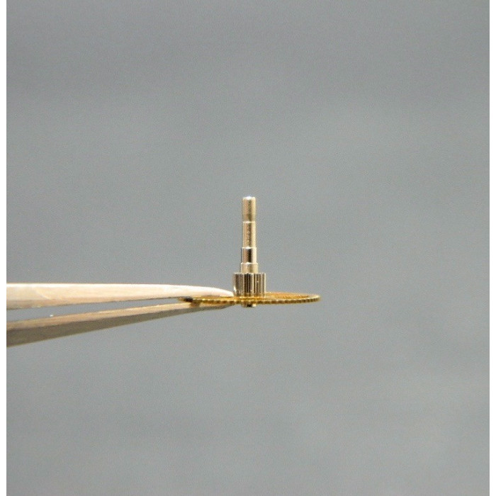 Movado 900-206 Grande moyenne