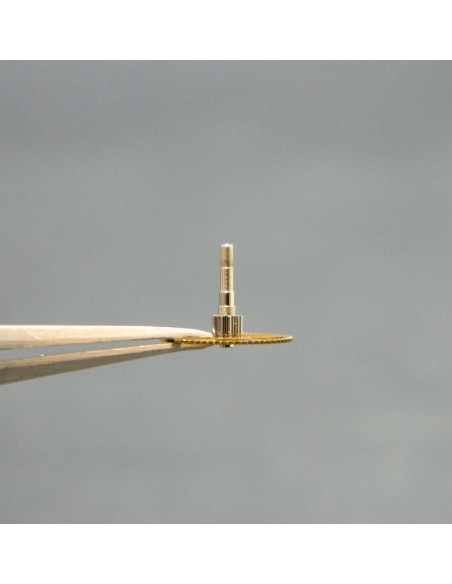 Movado 900-206 Grande moyenne