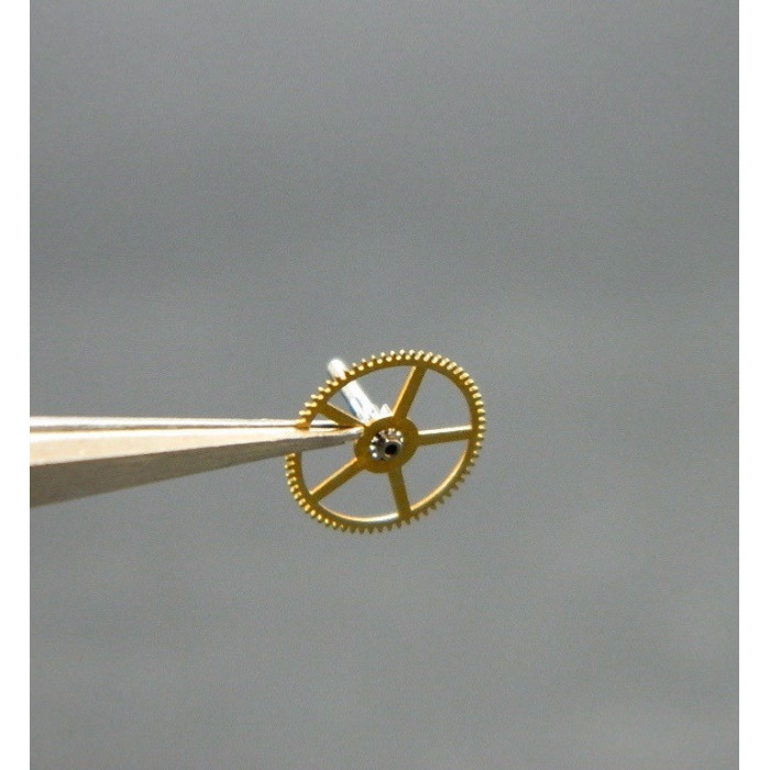 Movado 900-206 Grande moyenne