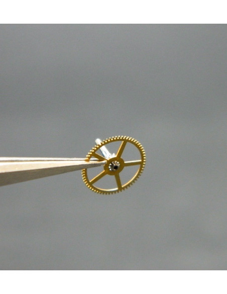 Movado 900-206 Grande moyenne