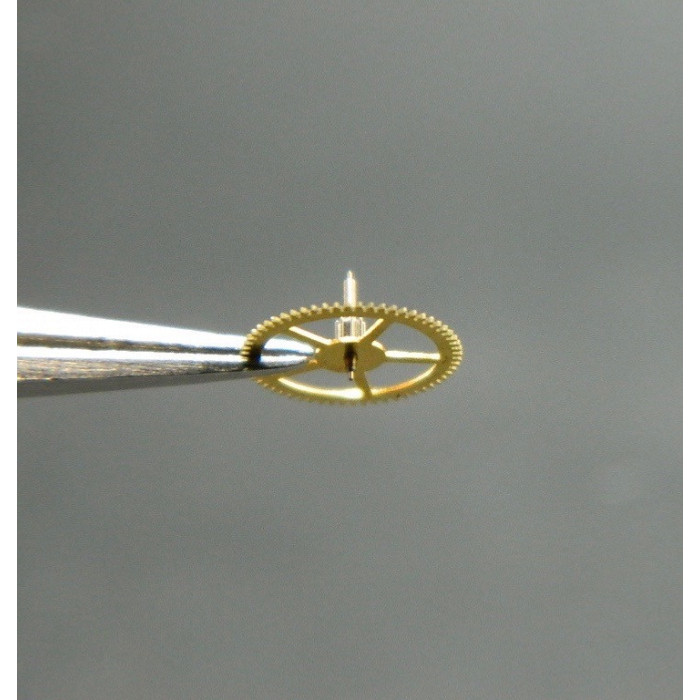 Movado 900-210 Petite moyenne