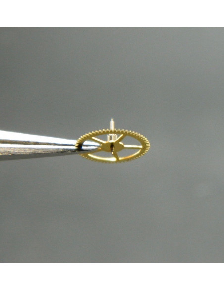 Movado 900-210 Petite moyenne