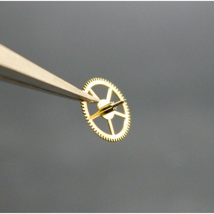 Movado 900-210 Petite moyenne