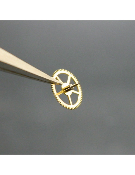 Movado 900-210 Petite moyenne