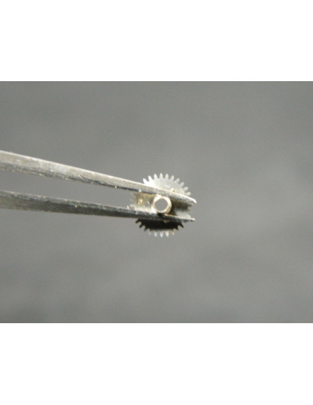 Movado 900-255Roue des heures