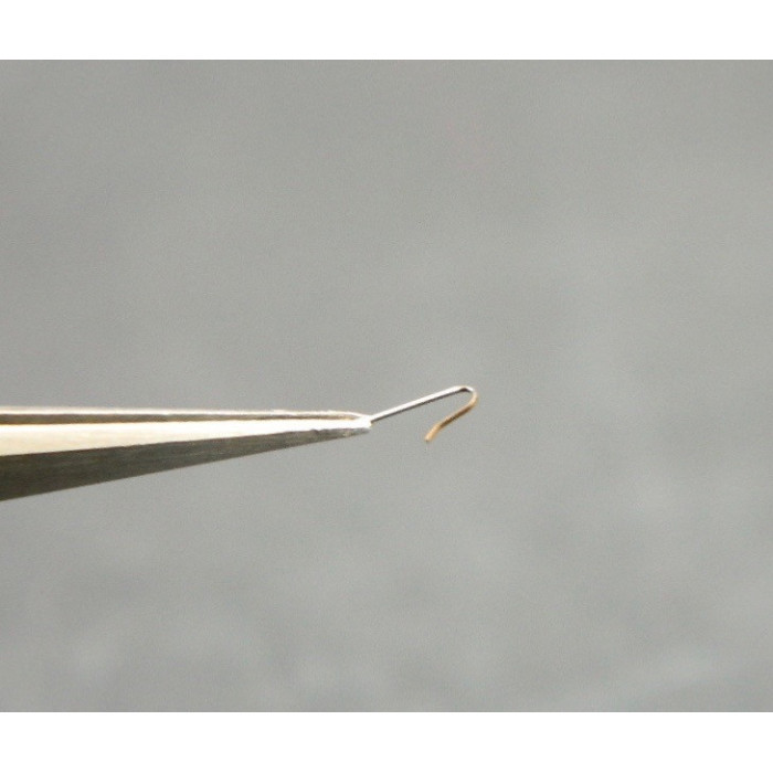 Movado 900-430 Ressort de cliquer