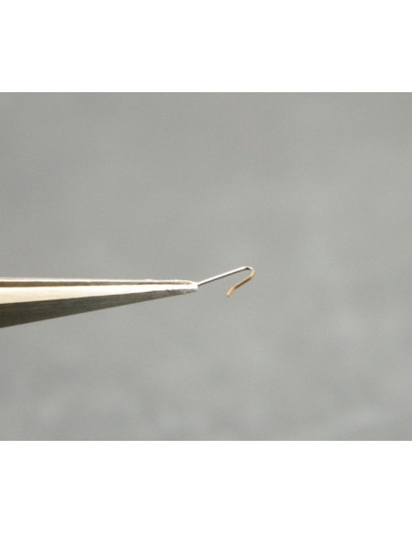 Movado 900-430 Ressort de cliquer