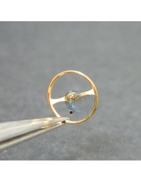 Universal Genève 218 - 721 Balancier