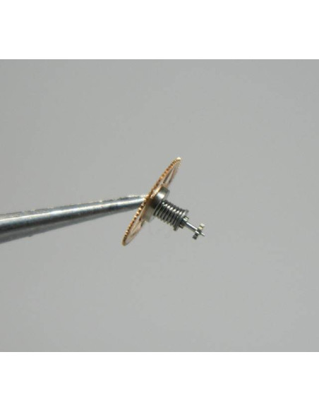 Lip R184-210 roue moyenne