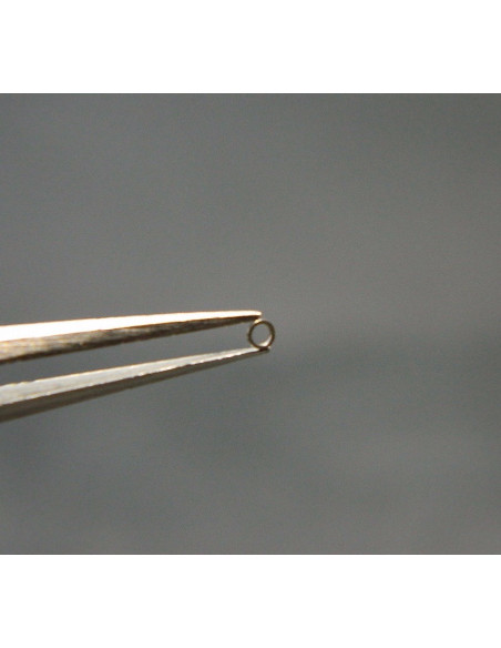 Movado 90-8203 Bague de frein