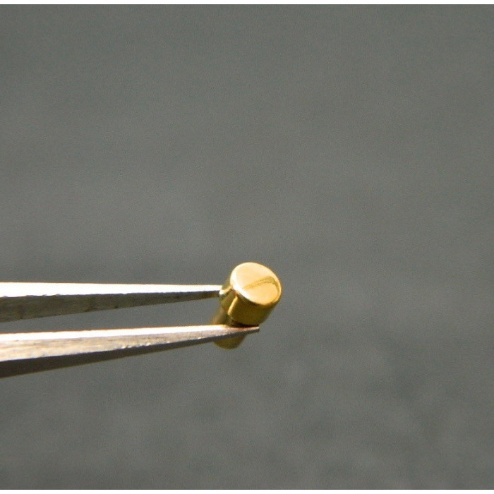 Zenith 20 0052 470 Poussoir