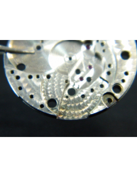 Movado 438-100 Platine