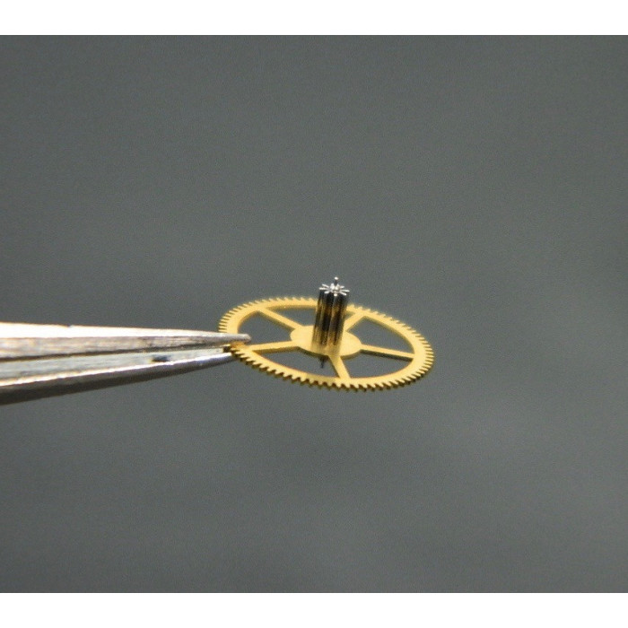 Movado 438-210 Petite moyenne