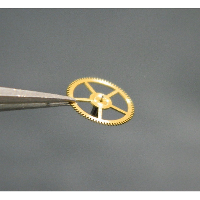 Movado 438-210 Petite moyenne