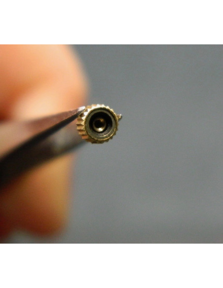 Zenith 20 0270 116 couronne cabochon