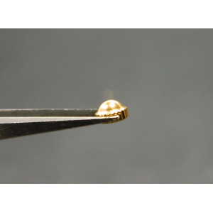 Zenith 19 0040 236 couronne