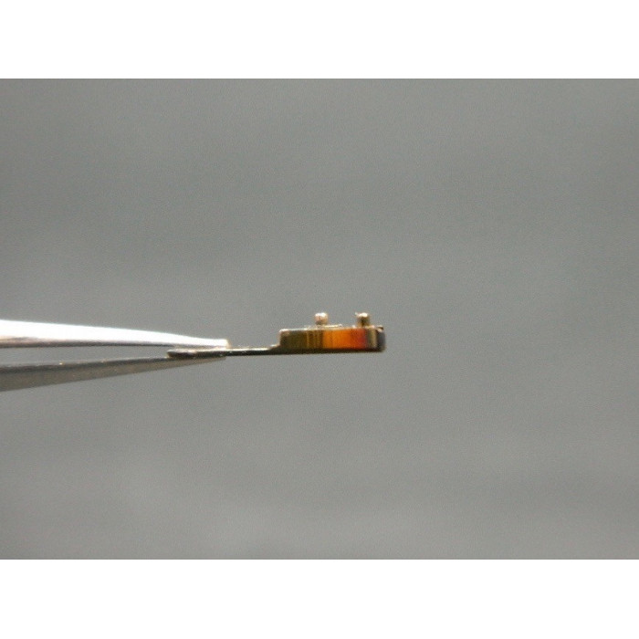 Movado 470-121 coq pour spiral plat