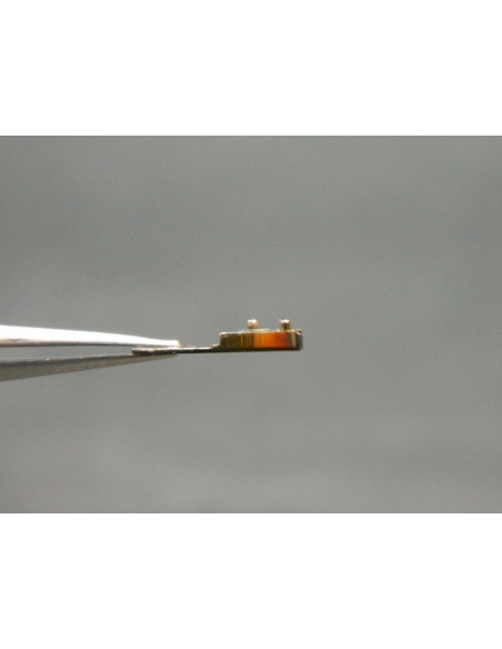 Movado 470-121 coq pour spiral plat