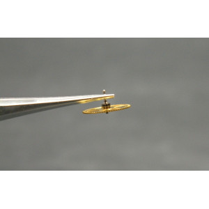 Movado 470-201 Grande moyenne sans chaussée