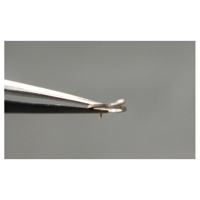 Movado 470-302 Raquette pour spiral breguet
