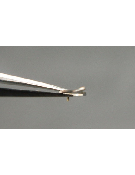 Movado 470-302 Raquette pour spiral breguet