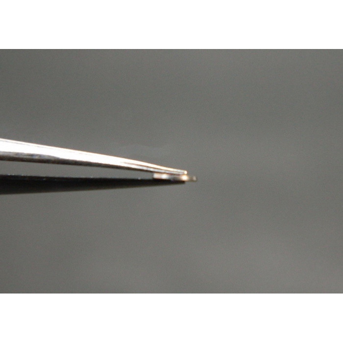 Movado 470-315 coqueret