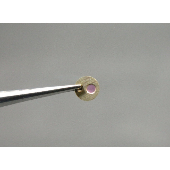 Movado 470-332 plaque