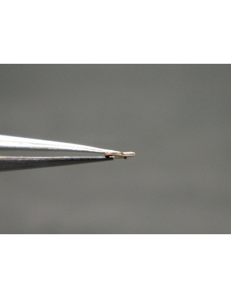 Movado 470-425 cliquet