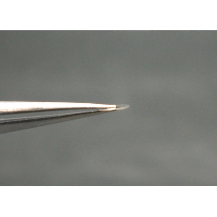 Movado 470-414 assise de couronne