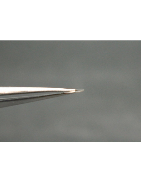 Movado 470-414 assise de couronne