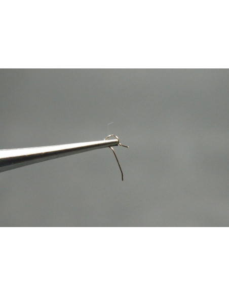 Movado 470-430 ressort de cliquet