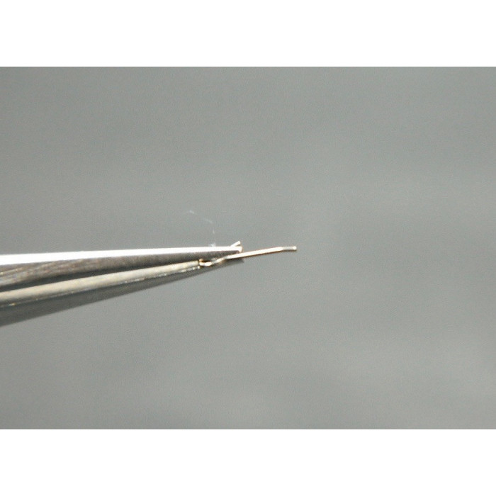 Movado 470-430 ressort de cliquet