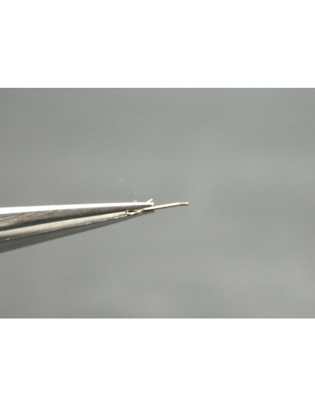 Movado 470-430 ressort de cliquet