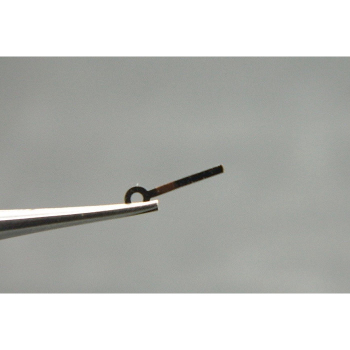 Movado 477-471 ressort de friction