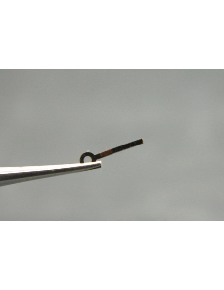 Movado 477-471 ressort de friction