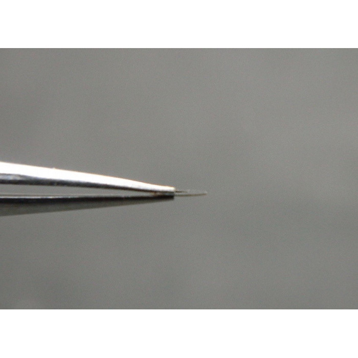 Movado 531-414 assise de couronne