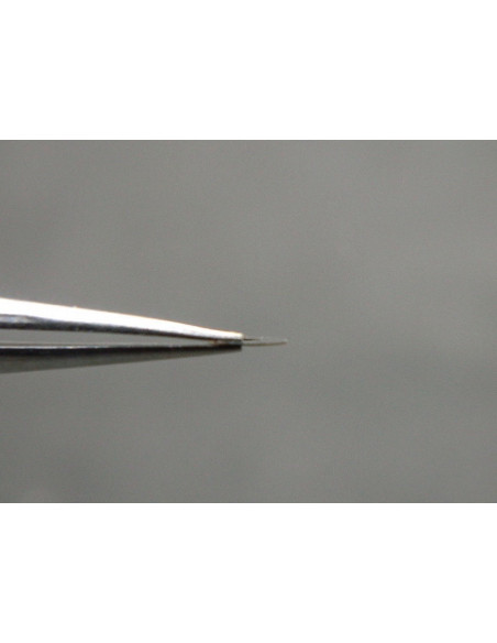 Movado 531-414 assise de couronne